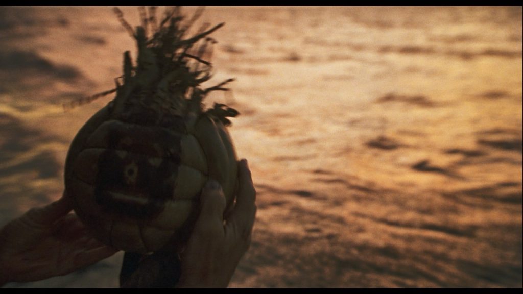 Cast Away - Wilson